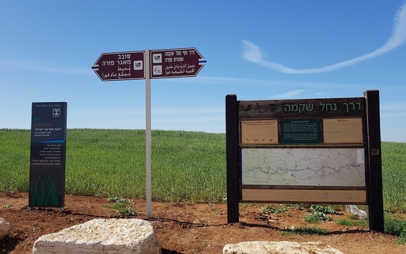 שמורת הטבע פורה וסובב מאגר פורה - טיול נוף ופריחה