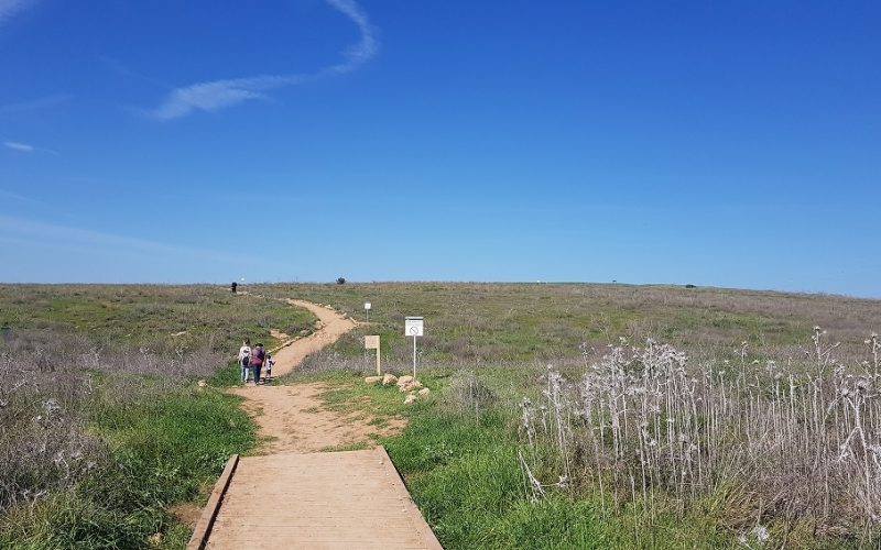 שמורת הטבע פורה וסובב מאגר פורה - טיול נוף ופריחה