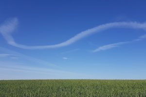 שמורת הטבע פורה וסובב מאגר פורה - טיול נוף ופריחה