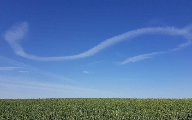 שמורת הטבע פורה וסובב מאגר פורה - טיול נוף ופריחה