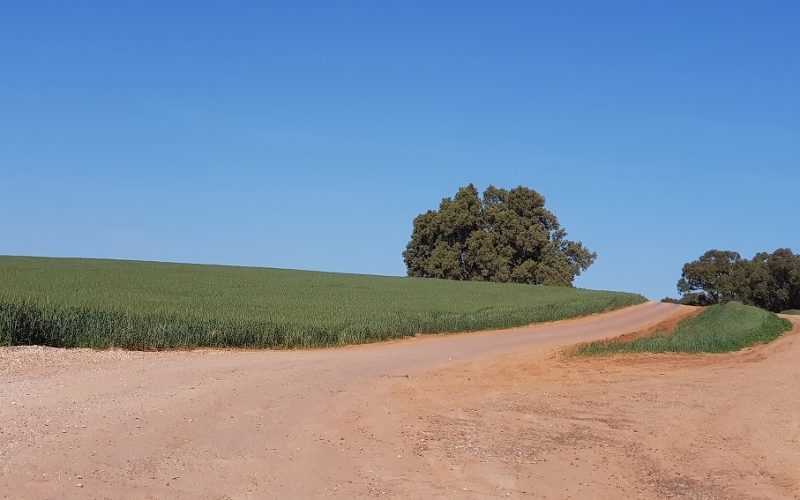 שמורת הטבע פורה וסובב מאגר פורה - טיול נוף ופריחה