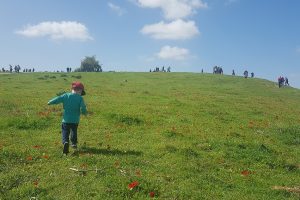גבעת הכלניות – קבר אריאל ולילי שרון מול חוות השקמים