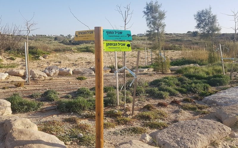 הפארק האקולוגי מצודת ים אשדוד