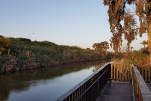 פארק נחל לכיש באשדוד – טבע, חיות ושעשועים והכל בחינם