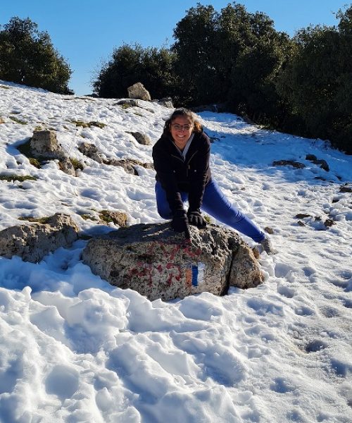 שביל הפסגה הר מירון בשלג