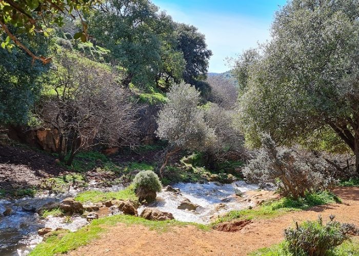 מפלי פרוד נחל צלמון עליון