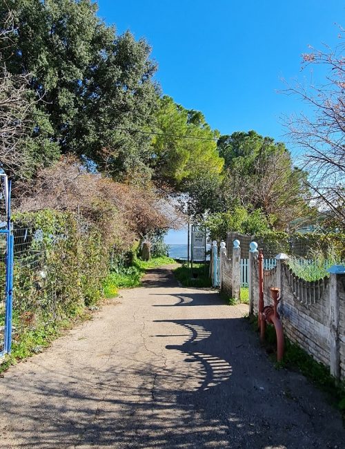 מצפה כנרת במושב אמירים – תצפית מרהיבה על הרי הגליל והכנרת