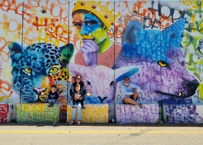 פרויקט "קירות מדברים" בשתולה