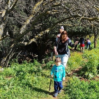 נחל דישון ונחל אביב – טיול בין מצוקי הנוף של הגליל