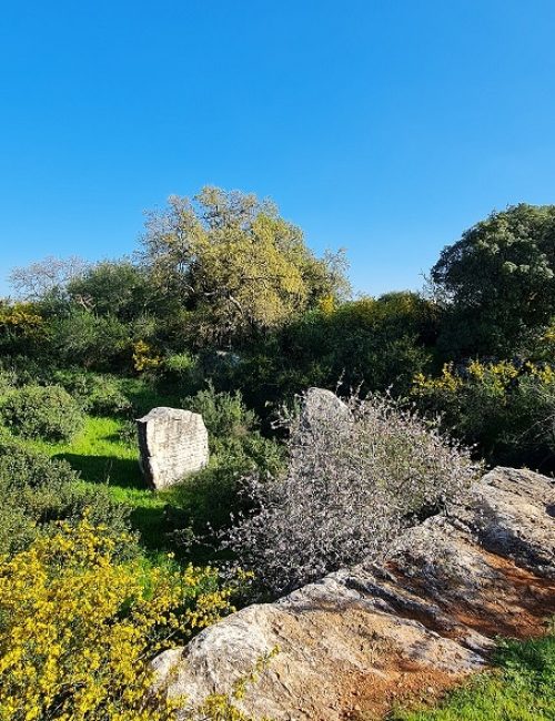 נקיקי יפתח – פארק הנינג'ה של הטבע