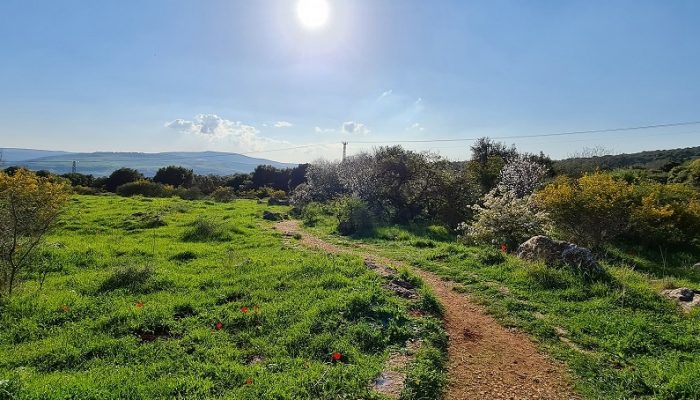 נקיקי יפתח – פארק הנינג'ה של הטבע