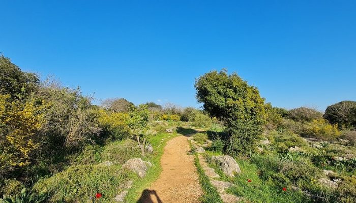 נקיקי יפתח – פארק הנינג'ה של הטבע