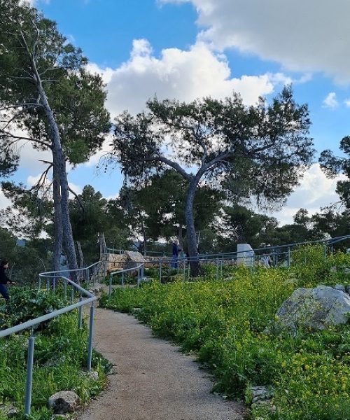 דרך נוף הגלבוע - כתף שאול וחוות הרוח