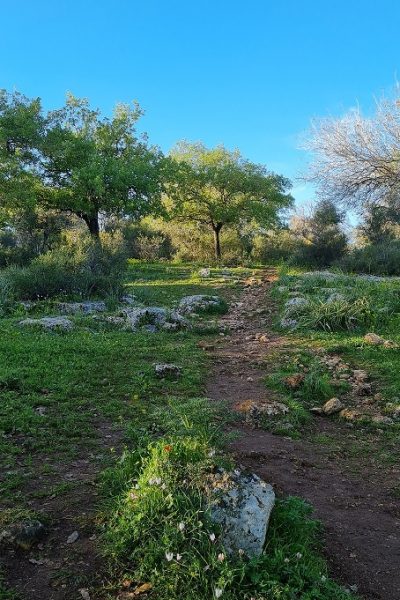 שמורת הטבע אלוני אבא – שביל אלוני אבא