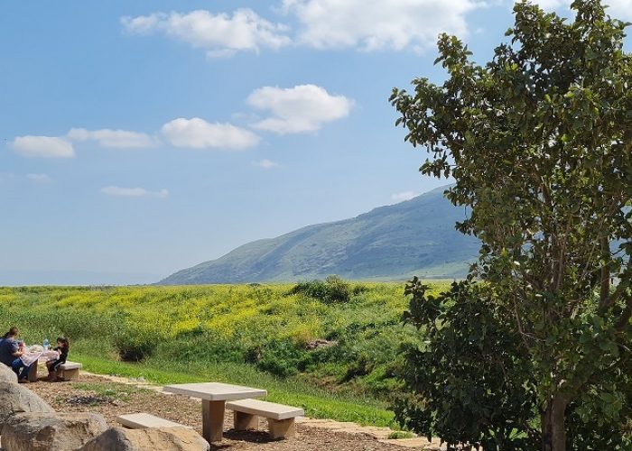 חניון מול הגלבוע – נקודה עצירה בשביל נחל חרוד