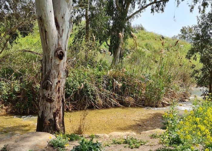 בריכת המנחת פארק המטוס - נחל עיון