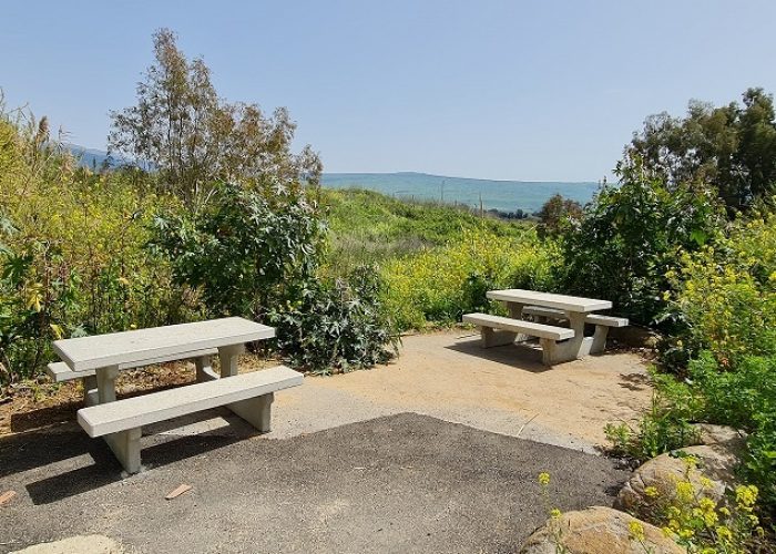 בריכת המנחת פארק המטוס - נחל עיון