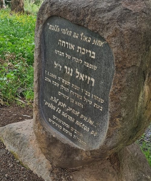 עין אורחה עין ג'וחדר התל וחאן ג'וחדר ברמת הגולן