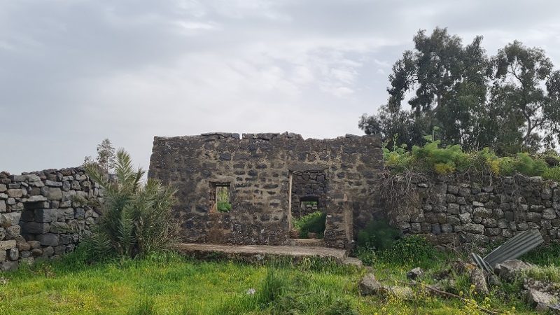 עין אורחה עין ג'וחדר התל וחאן ג'וחדר ברמת הגולן