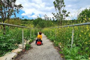 שביל האנרגיות המתחדשות ביער חגית – יער לקוחות חברת החשמל