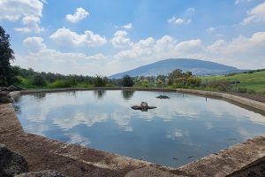 עין קאזאן עין חיזר – מעיין בכפר כמא אל מול נופי הר התבור