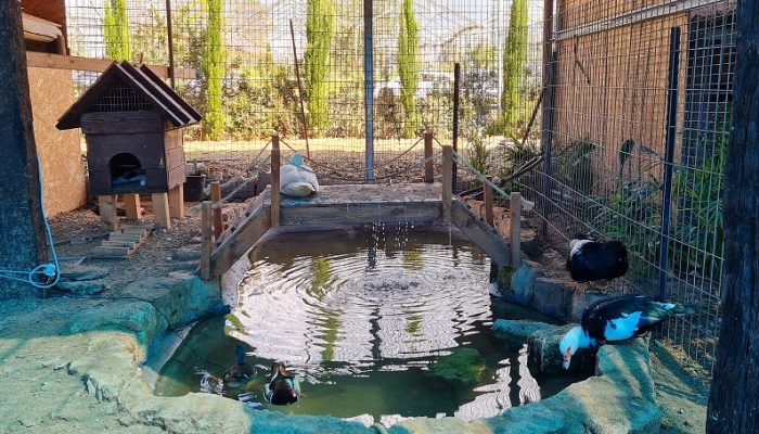 כפר הארנבונים חוות נגר – בית לחם הגלילית