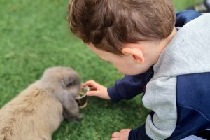 כפר הארנבונים חוות נגר – בית לחם הגלילית