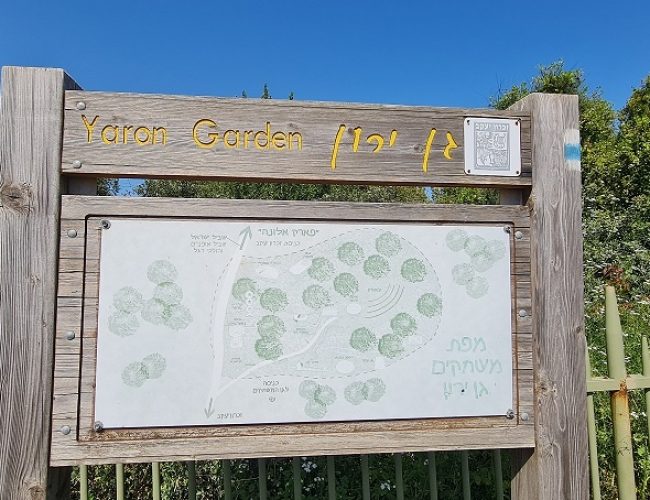 גן ירון אמיתי – לזכרו של ירון אמיתי ז"ל