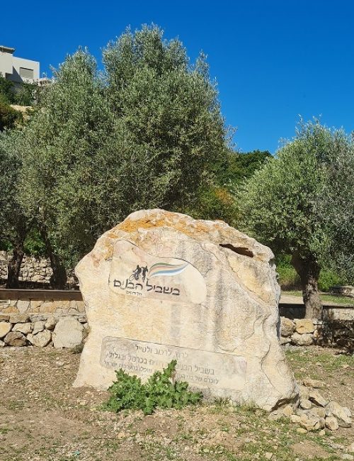 מעיין הכפר הדרוזי – עין אל בלד בעוספיא