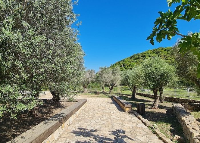 מעיין הכפר הדרוזי – עין אל בלד בעוספיא