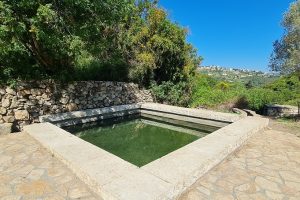 מעיין הכפר הדרוזי – עין אל בלד בעוספיא