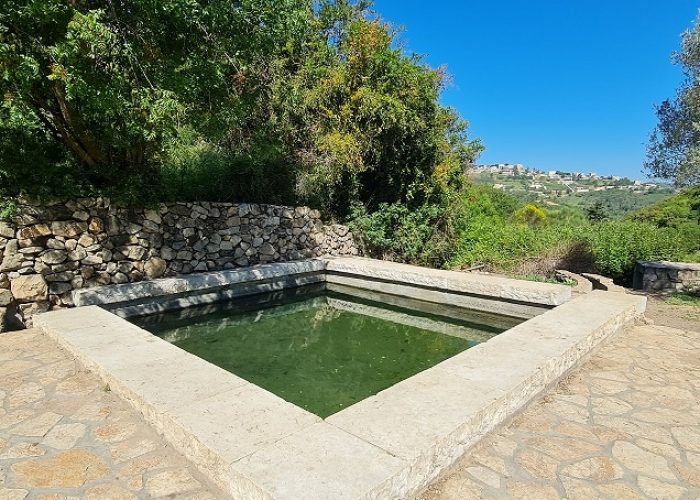 מעיין הכפר הדרוזי – עין אל בלד בעוספיא