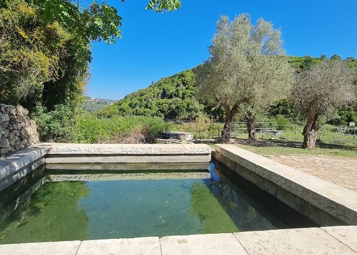 מעיין הכפר הדרוזי – עין אל בלד בעוספיא