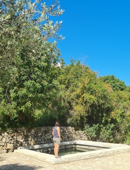 מעיין הכפר הדרוזי – עין אל בלד בעוספיא