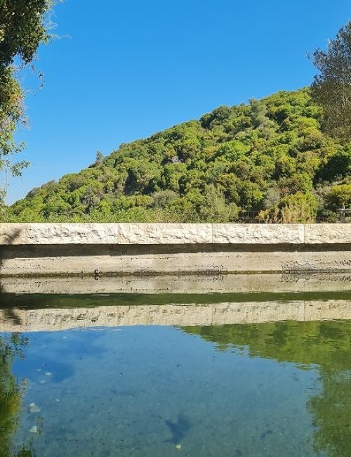 מעיין הכפר הדרוזי – עין אל בלד בעוספיא