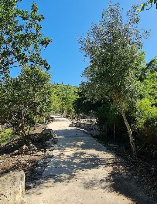 מעיין הכפר הדרוזי – עין אל בלד בעוספיא