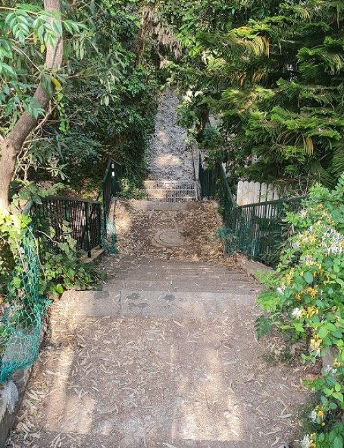 נחל שיח בוסתן כיאט חיפה