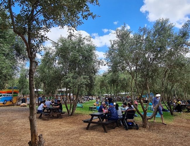 החווה בגליל – המקום הכי מיוחד שיש בגליל