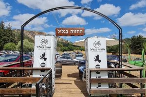 החווה בגליל – המקום הכי מיוחד שיש בגליל