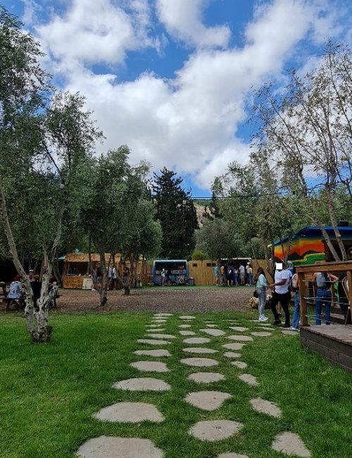 החווה בגליל – המקום הכי מיוחד שיש בגליל