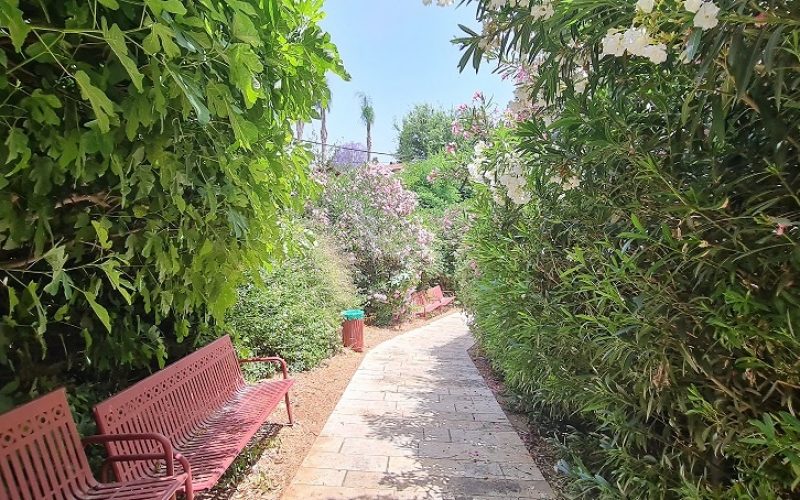 פארק מעיין המושבה במטולה