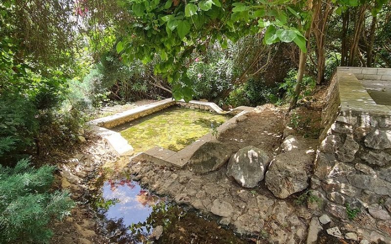 פארק מעיין המושבה במטולה