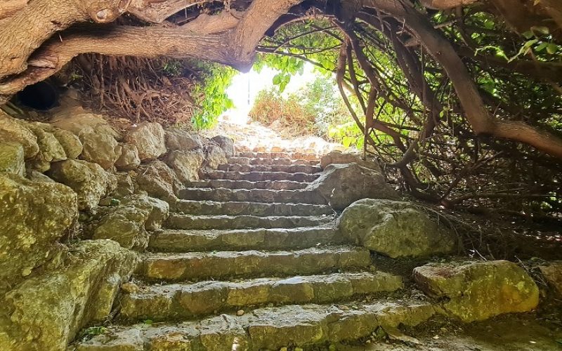 פארק מעיין המושבה במטולה