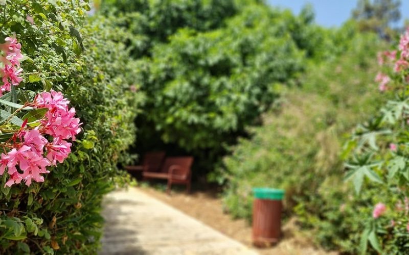 פארק מעיין המושבה במטולה