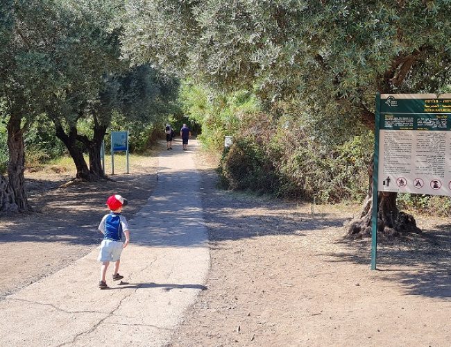 שמורת הטבע מג'רסה