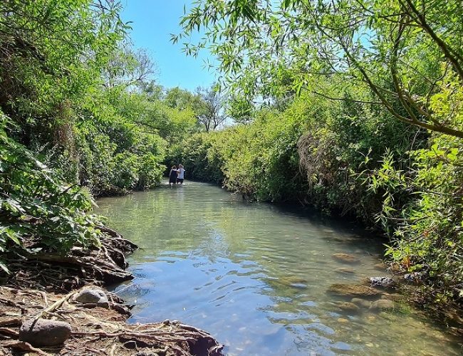 שמורת הטבע מג'רסה