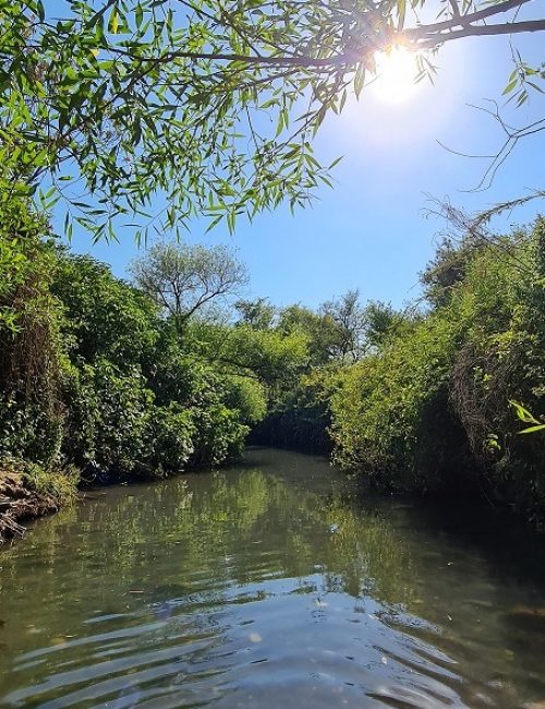 שמורת הטבע מג'רסה