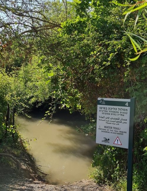 שמורת הטבע מג'רסה