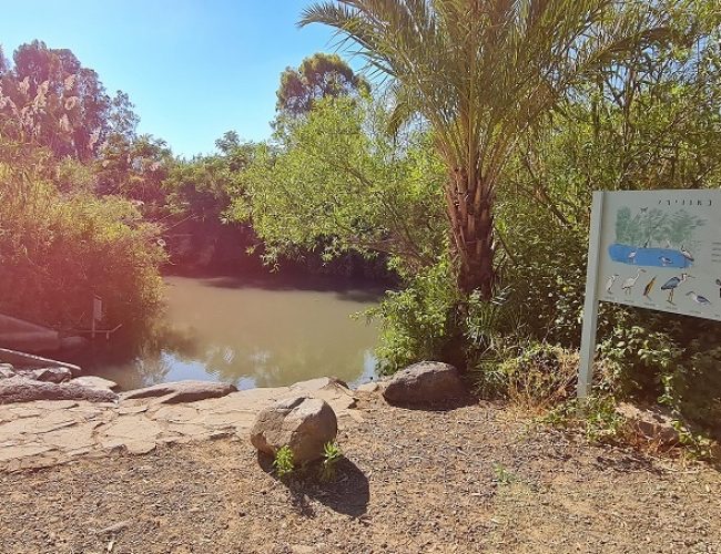 שמורת הטבע מג'רסה