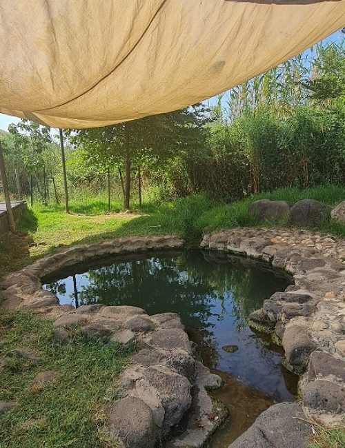 עין דביר עין טופח צומת עמיעד